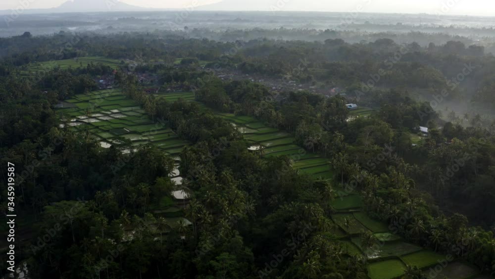 Foggy sunrise over the Rice Terraces of Ubud, Bali Foggy sunrise over the Rice Terraces of Ubud, Bali