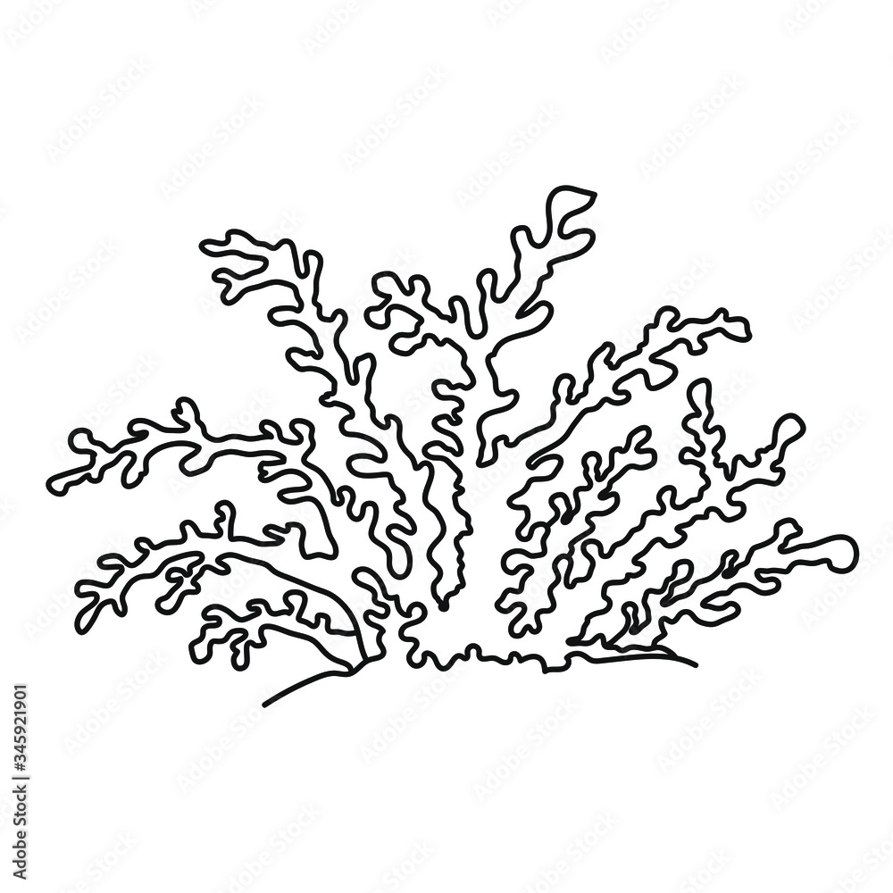 Vector sea coral isolated on white background. Outline vector illustration in doodle style. Vector sea coral isolated on white background. Outline vector illustration in doodle style.