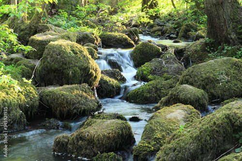 Der Schächerbach bei Homberg (Ohm) photo