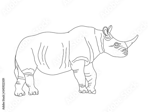 Vector coloring book for children and adults with a rhino. An endangered animal that is killed for the horn. The study of animals, line art, realistic rhino.Coloring page series Animals of Africa.