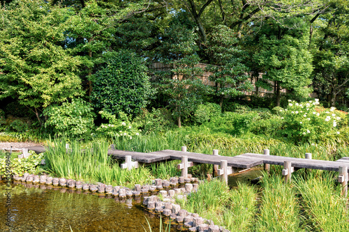 Scene at Momijiyama Garden in Sunpu Castle Park - Shizuoka  Japan