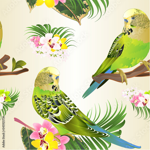 Seamless texture green parakeets Budgerigars, home pet , pet parakeet  or budgie or shell parakeet with Orchid cymbidium pink white and yellow  palm ficus watercolor vintage vector