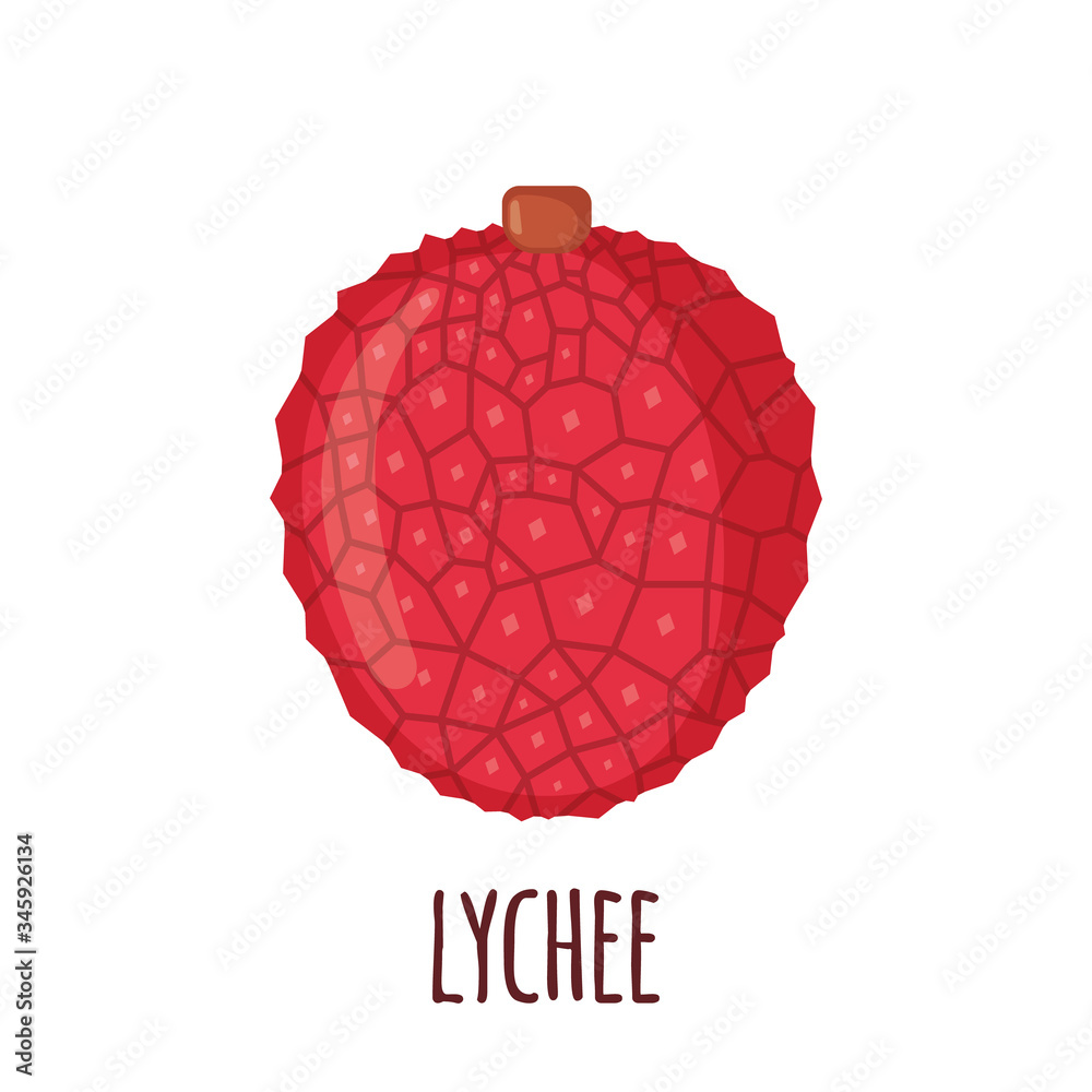 Lychee fruit icon in flat style isolated on white background. Lychee fruit icon in flat style isolated on white background.