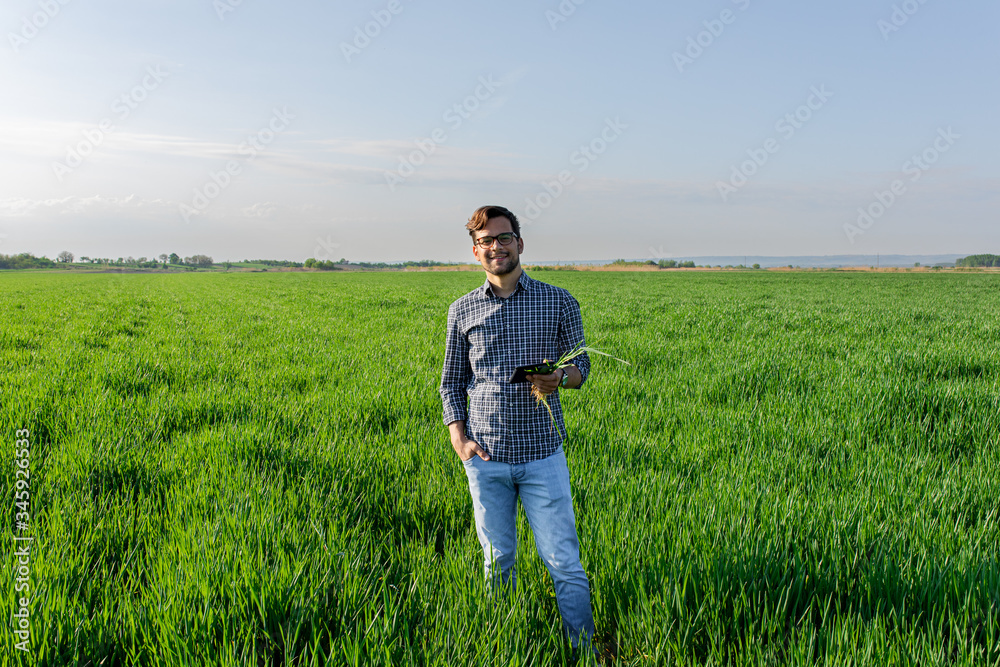 Portrait of farmer standing in young wheat field holding tablet in his hands and examining crop. Portrait of farmer standing in young wheat field holding tablet in his hands and examining crop.