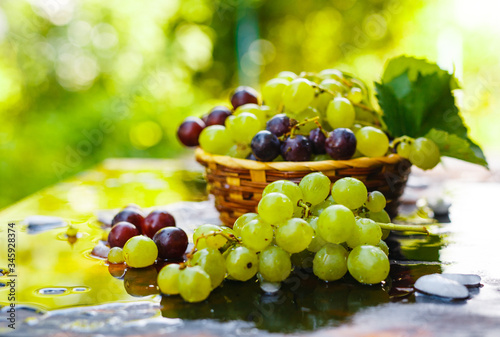 Fresh grapes in a straw basket with water splashes on a rustic wooden table. Autumn fruit, selective focus. photo