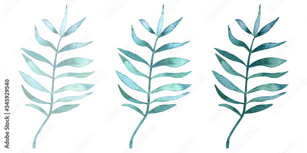 Set of watercolor tropical leaves, 3 tone version. Watercolor illustration isolated on white background. Set of watercolor tropical leaves, 3 tone version. Watercolor illustration isolated on white background.
