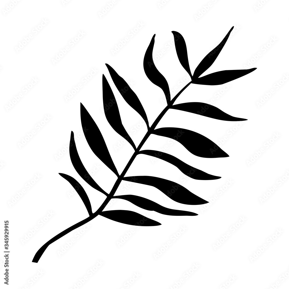 Fototapeta Silhouette of tropical leaf. Vector black and white palm leaf symbol.