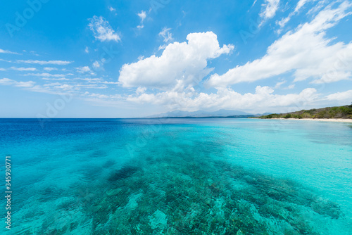 Clear blue tropical sea, sandy beach and forest © Mitsuru Kumazawa