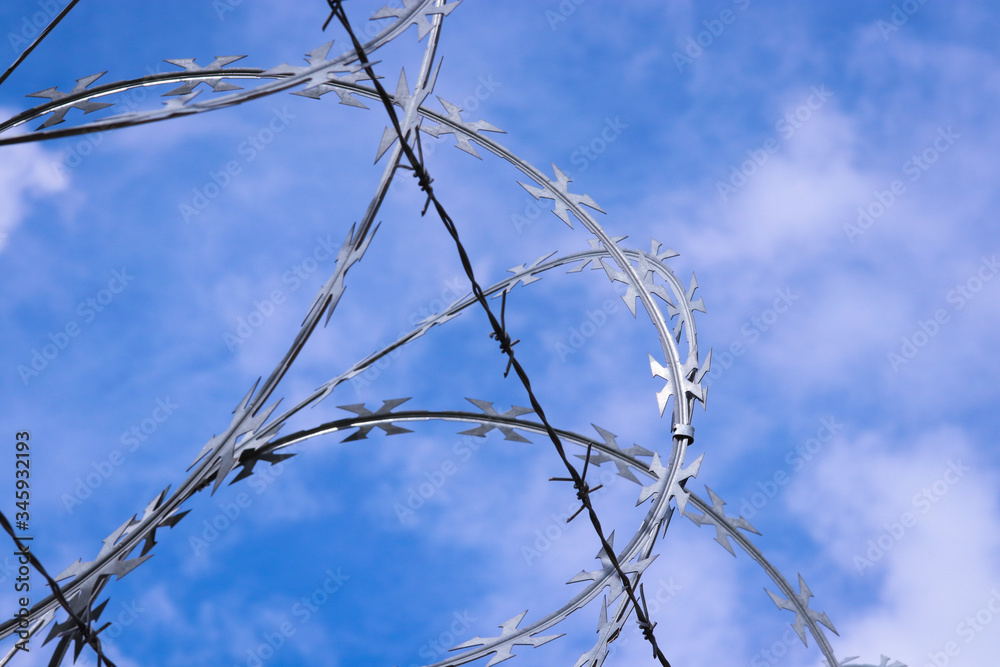 Fototapeta premium tree branches against blue sky