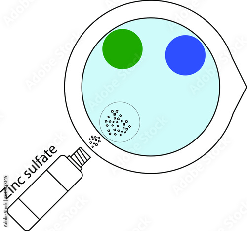 Chemical experiment for children. Artificial algae. Stage 5/7. Adding a small amount of zinc sulfate to a yellow blood salt solution without getting on the other sulfates.