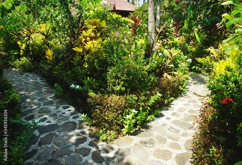 Εκτύπωση καμβά Paved stone garden path with tropical foliage, one side sunny, the other side in