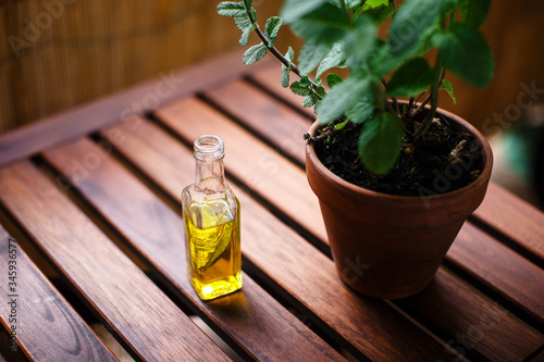 Mint flavored olive oil in a little glass bottle placed on a wooden table, next to a potted mint plant