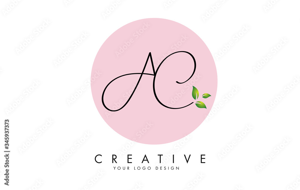 Handwritten AC A C Letters logo design with a pink circle as a background and leaves details. Handwritten AC A C Letters logo design with a pink circle as a background and leaves details.