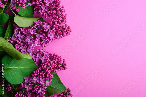 Lilac bouquet flowers with leaves on minimal purple background, top view copy space