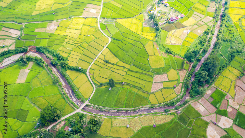 Obraz premium Aerial view of the green and yellow rice field landscape different pattern at morning in the northern thailand