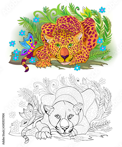 Colorful and black and white page for coloring book for children and adults. Illustration of a cute leopard in jungle. Printable worksheet for kids textbook. Exercise book. Flat vector cartoon.