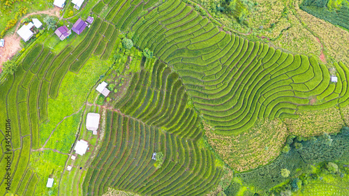 Aerial view of the green terraced rice fields landscape different pattern at morning in the northern thailand