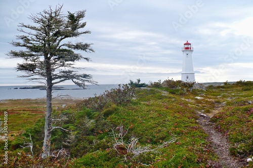 Fotobehang Lighthouse Amidst Trees And Buildings Against Sky