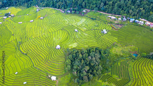 Aerial view of the green terraced rice fields landscape different pattern at morning in the northern thailand