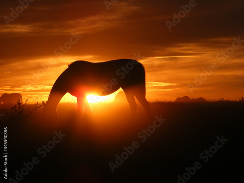 Atardecer entrerriano