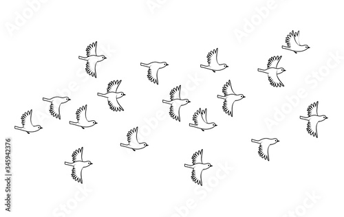 Flock of sparrow birds. Vector silhouette image.