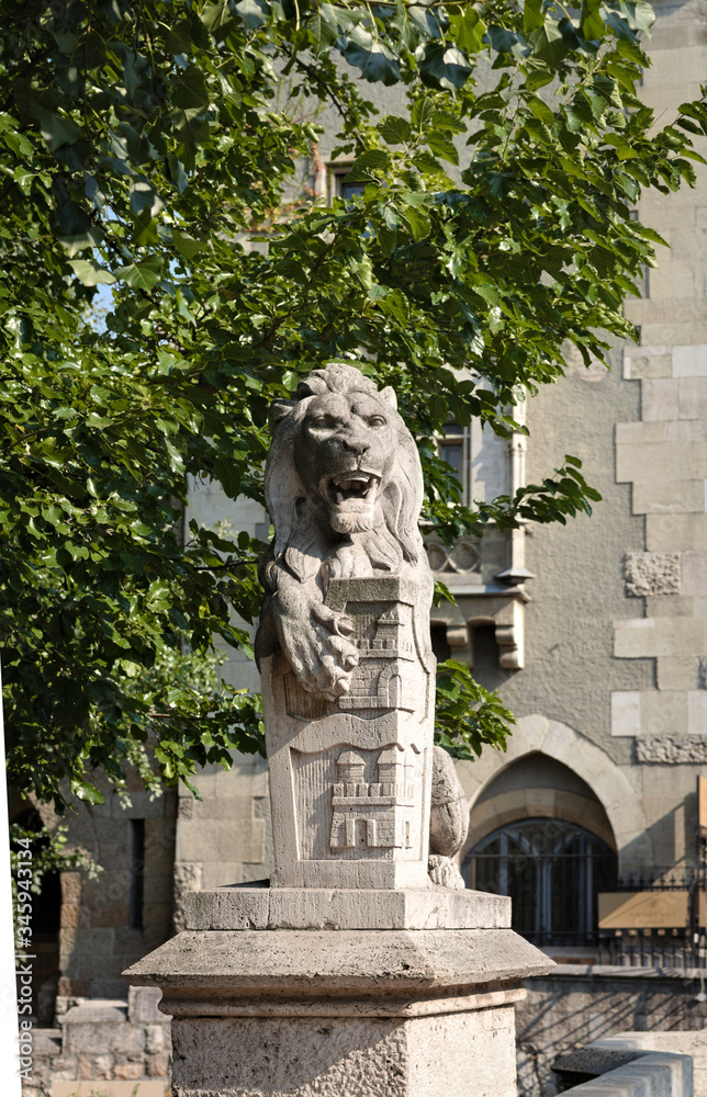 lion sculpture - Vajdahunyad Castle - Budapest