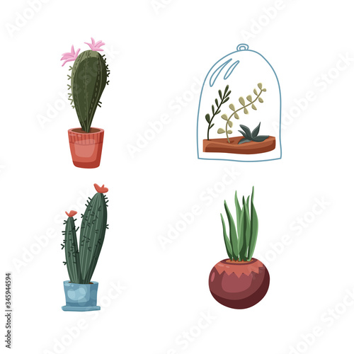 Green succulents cacti in pots set illustrations