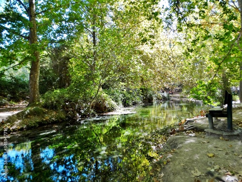 Fotografía del reflejo de la vegetación y arboles del bosque en el agua de un arroyo en el paraje de las Fuentes del Marqués, en Murcia