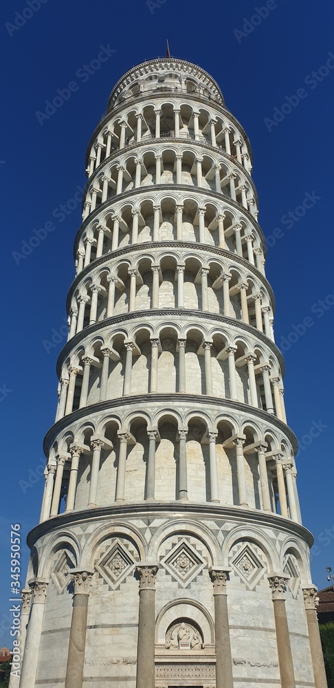 Leaning Tower of Pisa in full - Blue skies  - Detailed image
