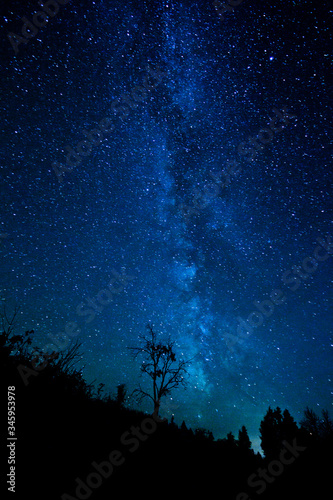 milky way over silhouette of trees
