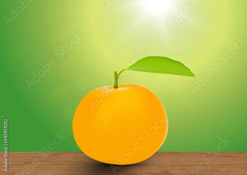 Orange fruit with leaf on wooden tabletop on blurred green nature bokeh background vector illustration