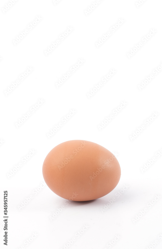 chicken egg isolated on white background chicken egg isolated on white background