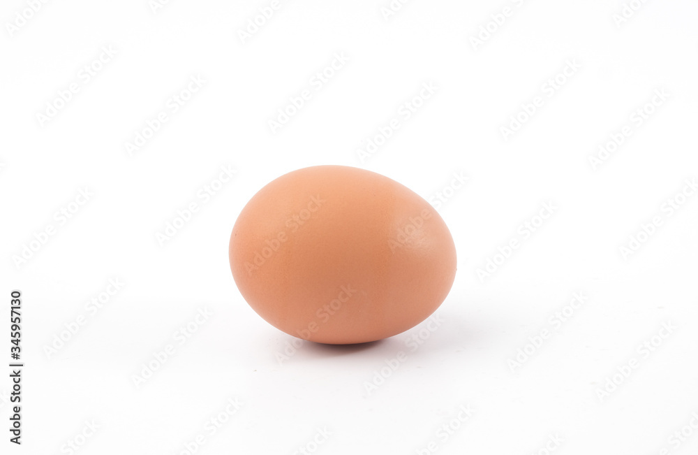 chicken egg isolated on white background chicken egg isolated on white background