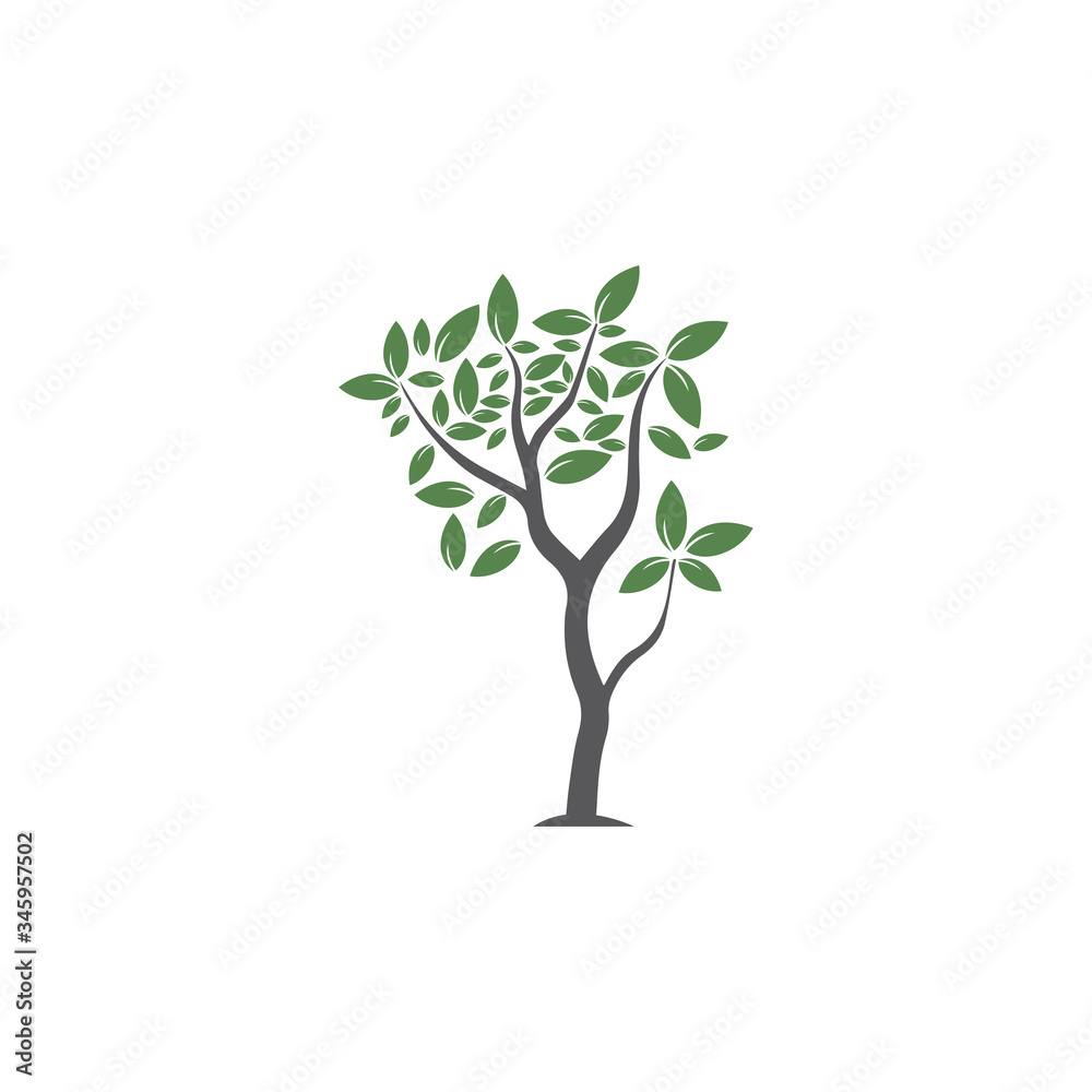 Tree Vector ,hand drawn, illustration of Olive tree vector design template Tree Vector ,hand drawn, illustration of Olive tree vector design template
