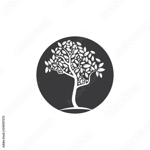 Tree Vector ,hand drawn, illustration of Olive tree vector design template