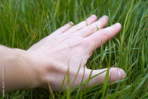 Caucasian man hand touching green soft grass © Kiryl Lis