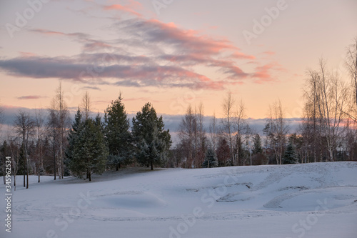 Landscape. The hills are covered with snow with growing trees and sky with clouds painted with sunset colors.