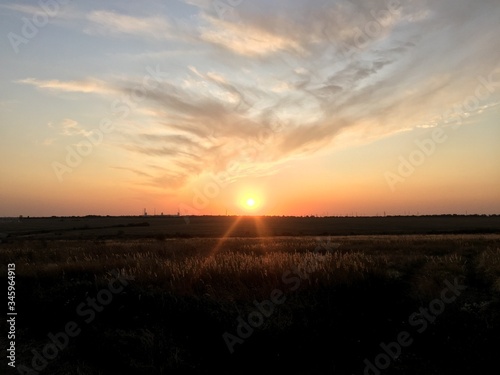  sunset in the field