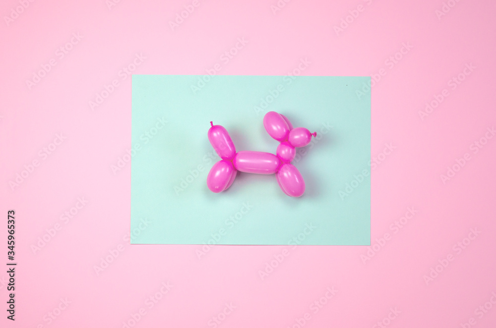 Balloon in the form of a dog on a mint-pink background.