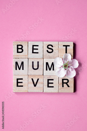 best mom ever. Happy Mother's day text on white spring flowers on pastel pink flat lay. Stylish floral greeting card. Happy mothers day. Spring snowflake, blooming flowers border