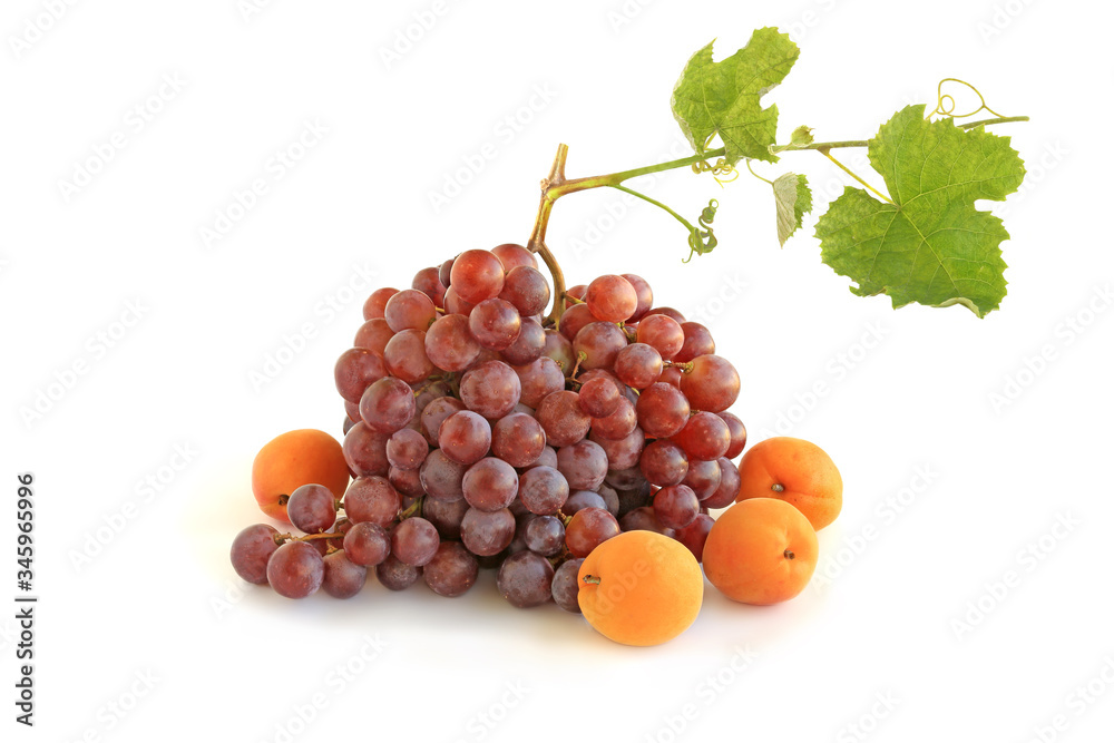 Bunch of purple grapes with apricots and sprig isolated on white