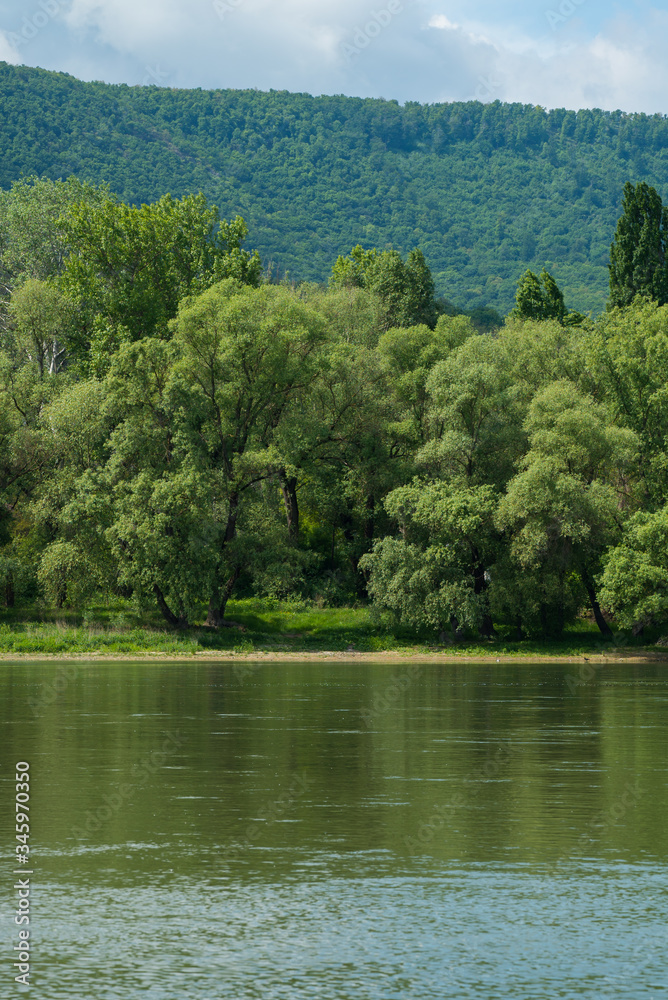 Untouched bank of the Danube in Hungary, Europe.