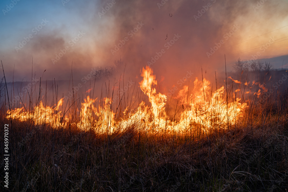 burns dry grass in sky smoke. 