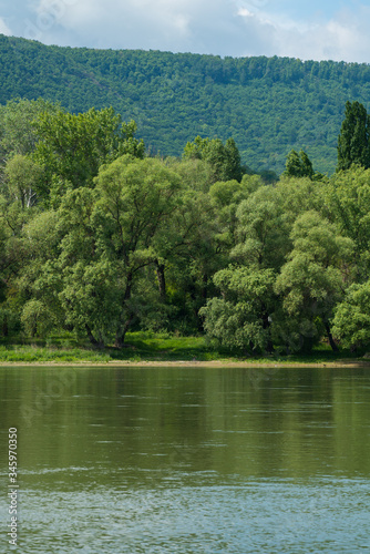 Untouched bank of the Danube in Hungary  Europe.