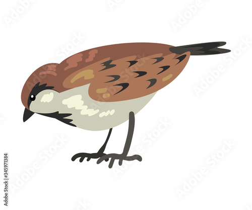 Cute Sparrow Winter Bird, Beautiful Northern Birdie Vector Illustration