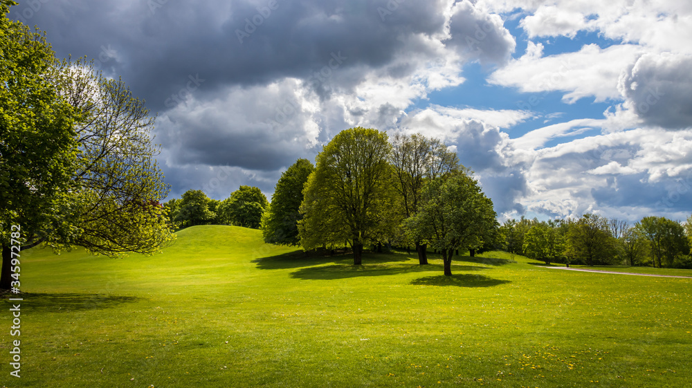 Obraz premium park hügel