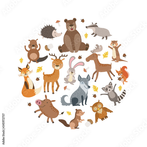 Fototapeta Naklejka Na Ścianę i Meble -  Cute Wild Forest Animals Pattern of Round Shape, Greeting Card, Poster, Banner, Background Design Element Vector Illustration