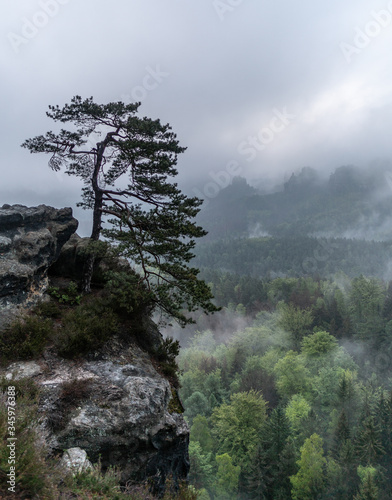 foggy morning in saxon switzerland, saxony, germany