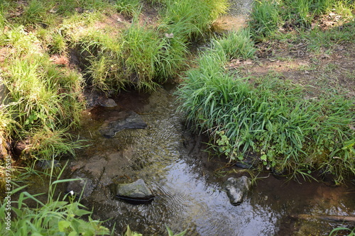 kleiner Bachlauf, Thürer Wiesem photo