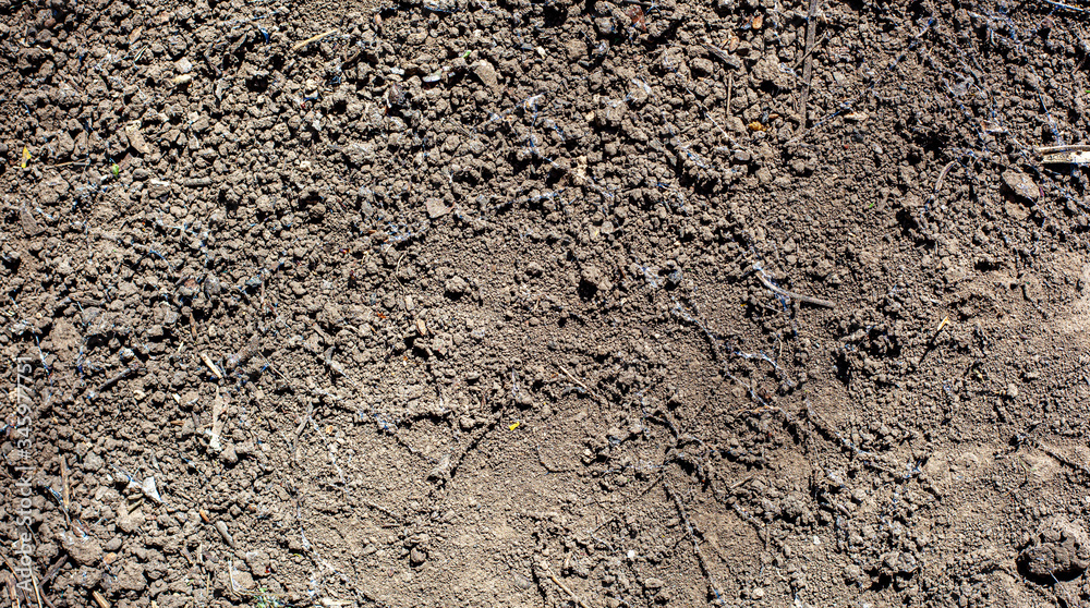 stone wall texture stone wall texture
